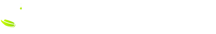 Exec Automotive
